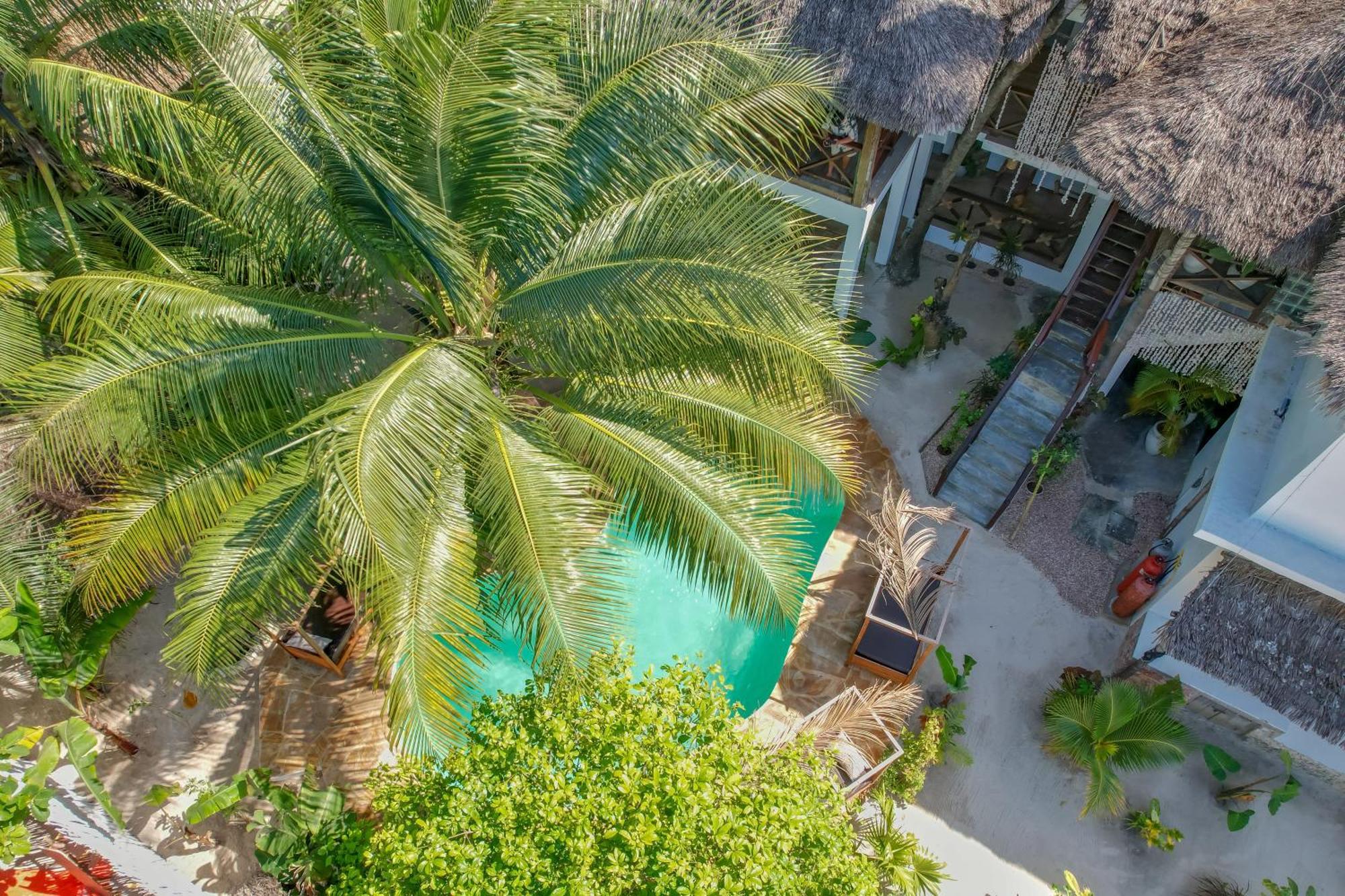 Bed and Breakfast Ocean Boho House Jambiani  Exteriér fotografie
